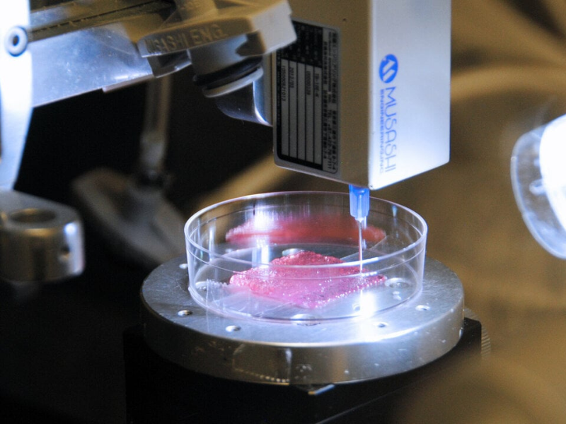 Bioprinting of medical 3d printing